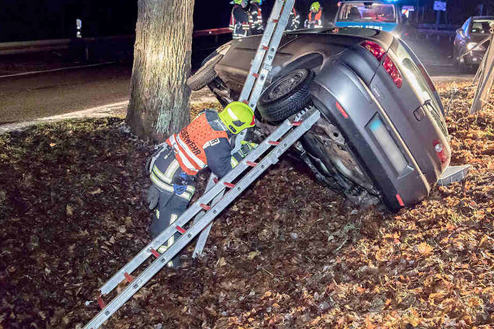 Da der Seat schräg am Baum stand, musste er durch Leitern abgestützt werden.