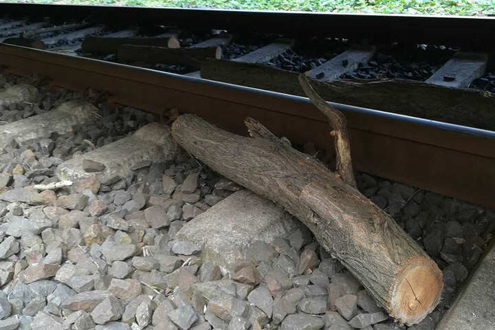 Die Baumstämme sorgten fast für eine Zugentgleisung.