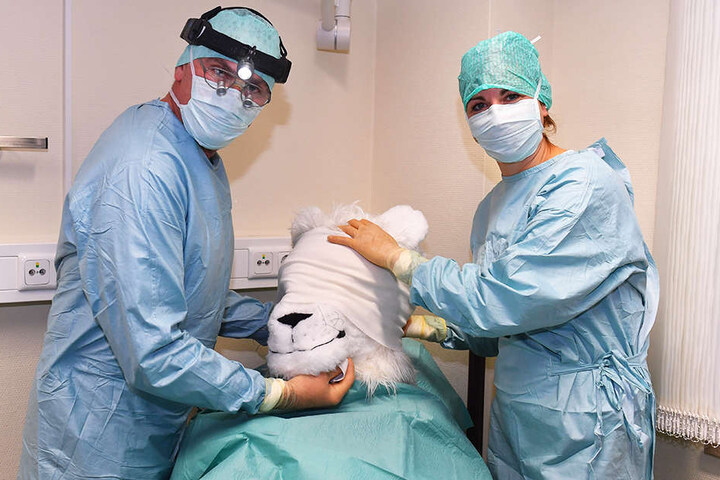 Frisch verbunden nach der OP nimmt Chefarzt Sönke Eger (l.) seinen Patienten nochmal in Augenschein, heute kommt der Verband ab und der neue Jago wird präsentiert.