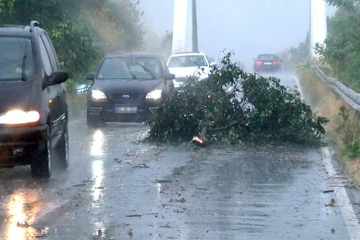 Ein großer Ast liegt nach einem Starkregen und Sturm auf einer Straße.
