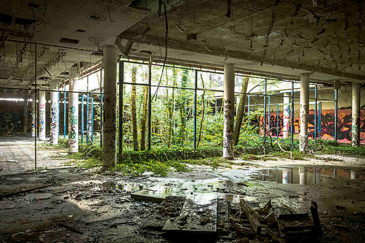 Verfallen und überwuchert: So sieht es aktuell auf dem Gelände des einstigen DDR-Gästehauses aus.