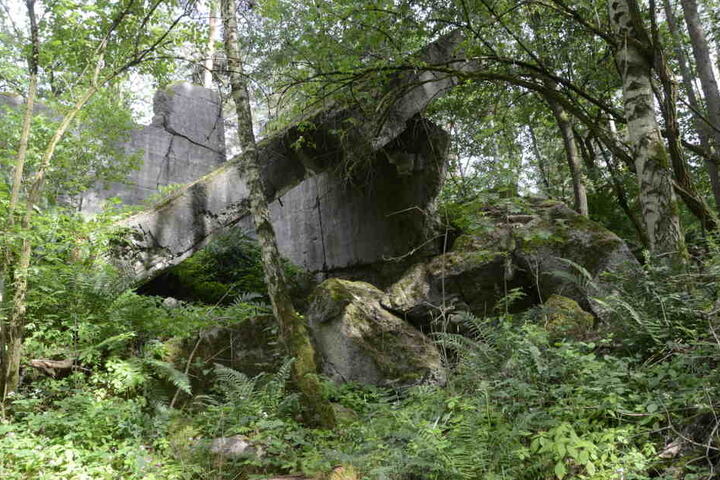 Die Trümmerteile des alten Schießstandes der Wehrmacht "zieren" bis heute den Wald bei Skäßchen.