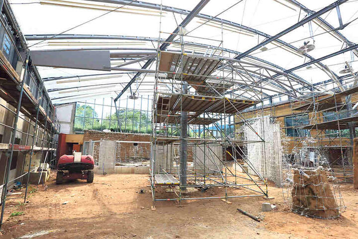 Das sanierte Elefantenhaus soll bestenfalls im Oktober fertig sein.