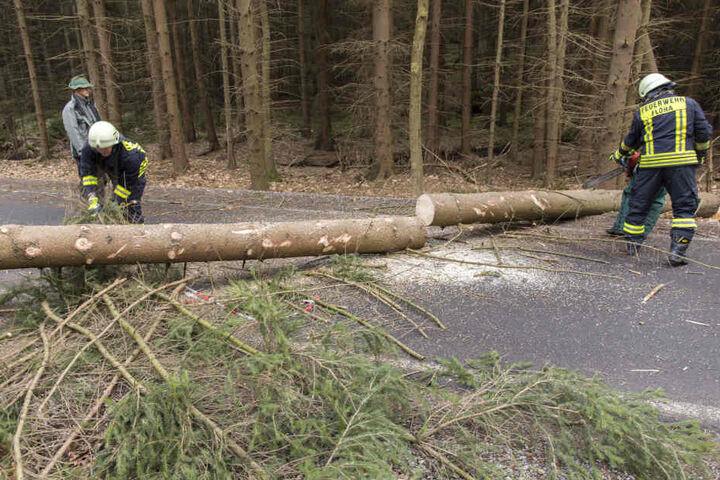 In Fllöha blockierte eine große Fichte die Eubaer Straße.