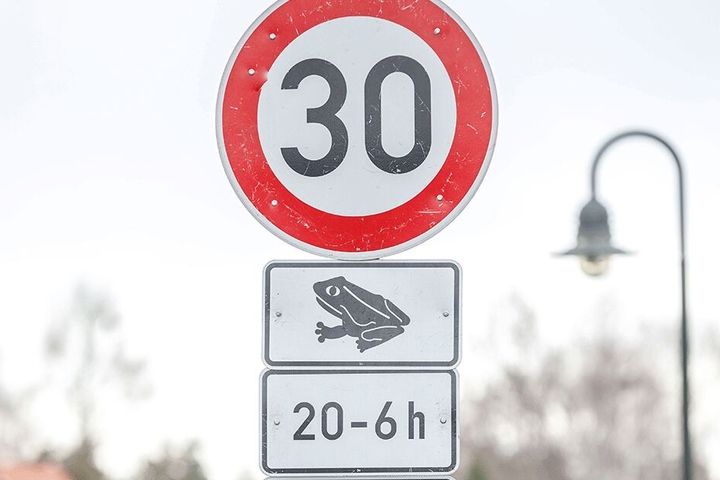 Unbedingt beachten! Denn Tempo 50 tötet Kröten auch ohne Kontakt - durch die Druckwelle.