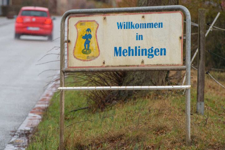Der Landschaftsgärtner lebte in Mehlingen.