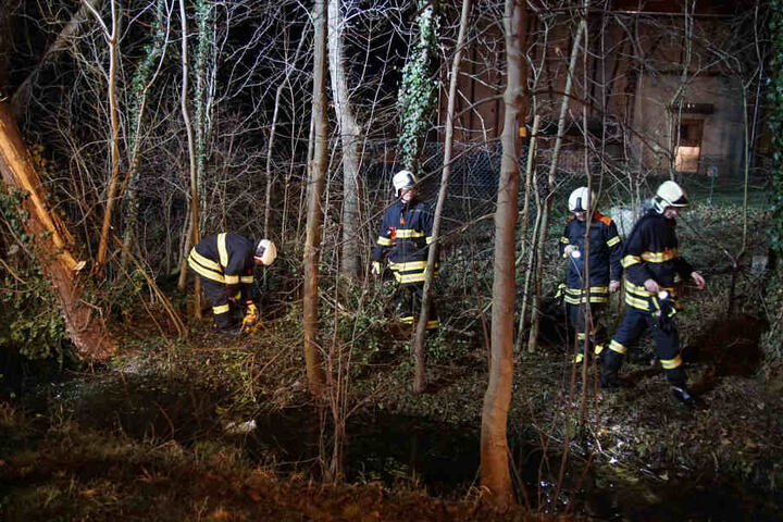 Die Feuerwehr suchte den Bachlauf nach der Waffe ab.