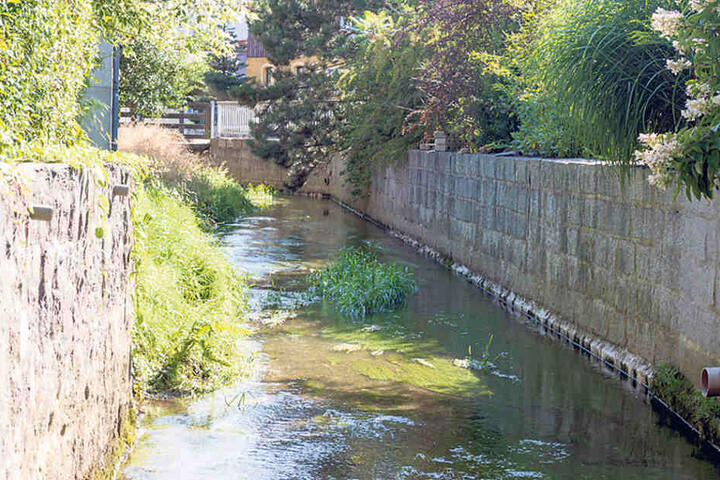 Offenbar landen Toiletten-Abfälle im Regenwasserkanal, werden so in die Pulsnitz eingespült.
