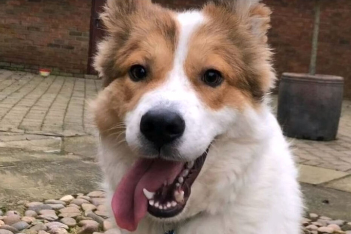 Heute ist Cooper nicht mehr wiederzuerkennen.