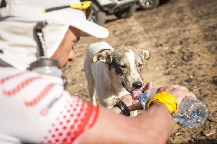 Ein Teilnehmer teilt sein Wasser auf der dritten Etappe mit dem Hund Cactus.