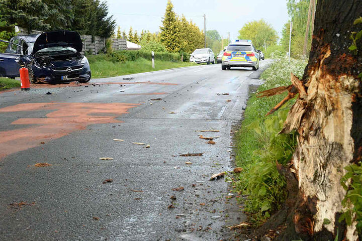 Es ist deutlich zu erkennen, mit welcher Wucht das Auto in den Baum krachte.