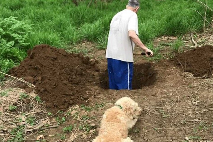 Der Besitzer grub fleißig, der Hund sah ihm zu.