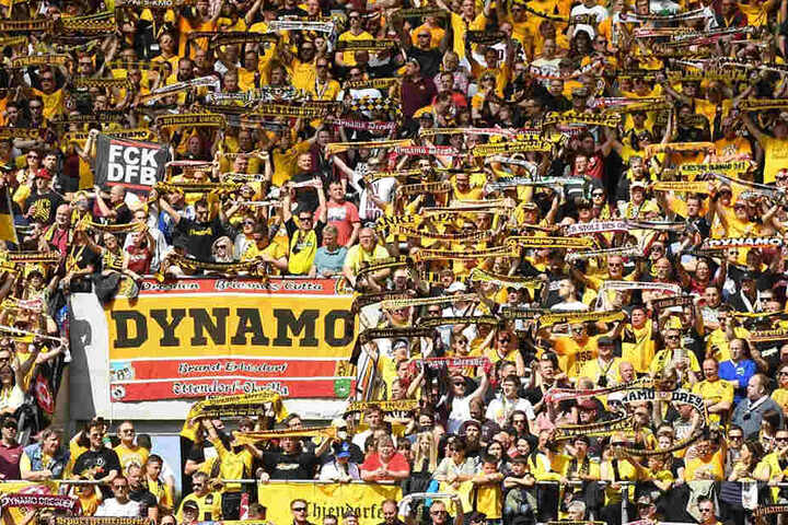 Viele Dynamo-Anhänger geben fürs Hamburg-Spiel keinen Pfifferling auf die Schwarz-Gelben, gehen von einer klaren Niederlage aus.