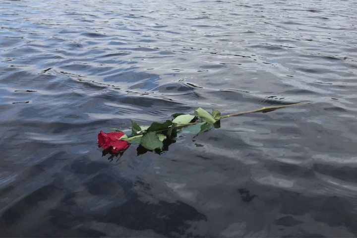 Am Ende war die Rose dort, wo sie hin sollte.