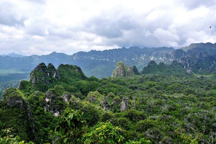 Blick über Felsen in der indonesischen Provinz Ostkalimantan. Hier gibt es Höhlen mit besonders alten Höhlenzeichnungen.
