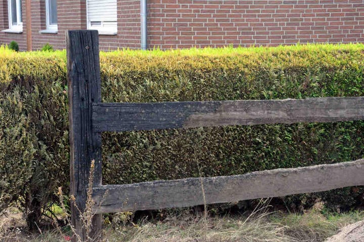 Ein Zaun und die Hecke wurden ebenfalls zum Opfer der unbekannten Täter.