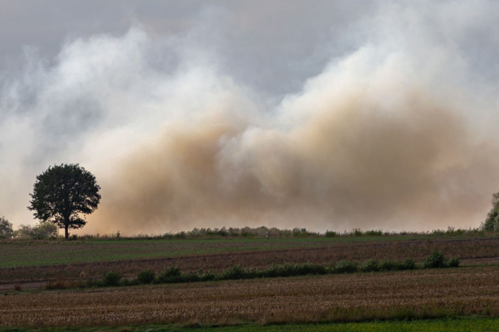 Der Qualm des Moorbrandes zieht über ein Feld. Seit dem 4. September brennen fünf Hektar Moorland.