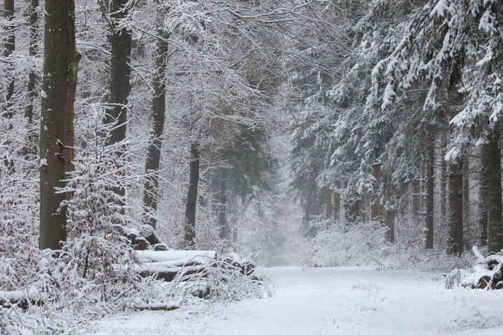 Schnee ist schön anzusehen, kann aber mitunter gefährlich werden. (Symbolbild)