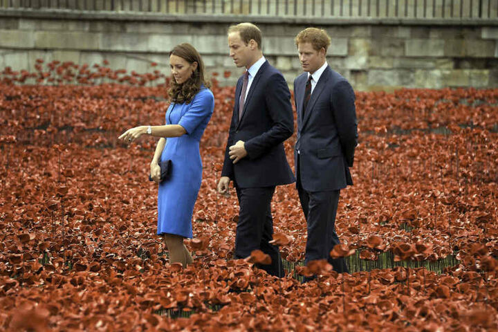 Da war Meghan noch nicht Teil seines Lebens: Prinz Harry begeht zusammen mit Kate und William die Mohnblumen-Installation "Blood Swept Lands and Seas of Red", die 2014 im Gedenken an die Opfer des Ersten Weltkrieges entstanden ist.
