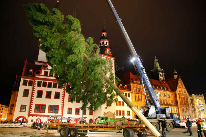 Bei der Ankunft des Baumes 2018 waren rund 500 Schaulustige dabei.