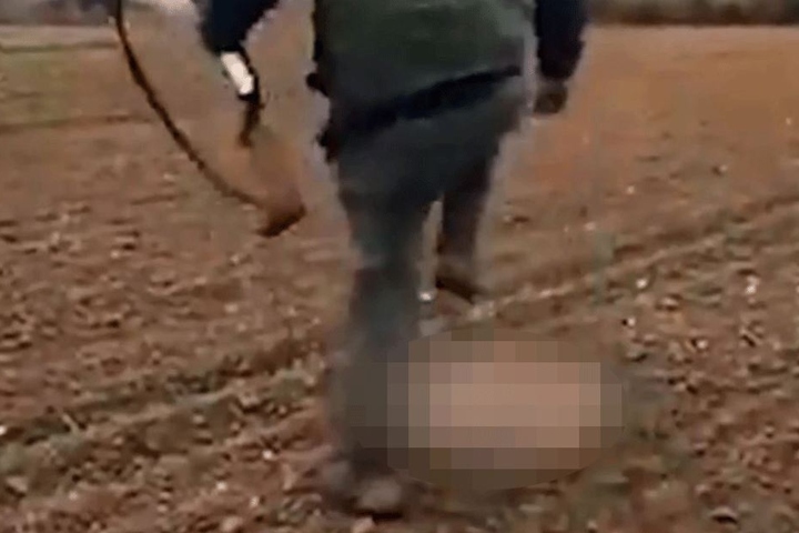 Hemmungslos trat der Mann auf den Fuchs ein, bis dieser starb.