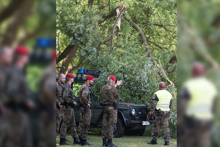 Bundeswehrsoldaten betrachten einen durch den Hubschrauber verursachte Baumbruch.