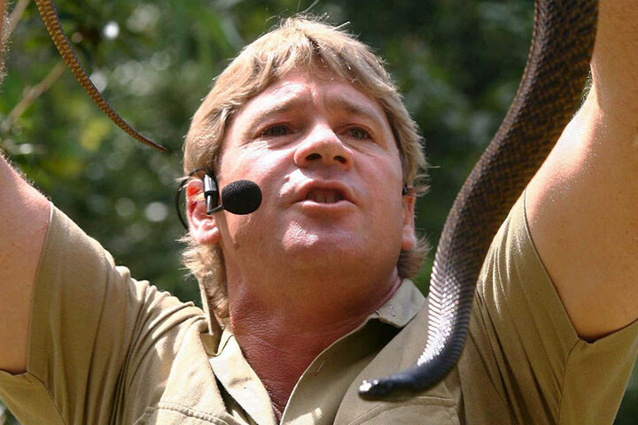 Auch Steve Irwin starb durch den Biss eines Stachelrochens.