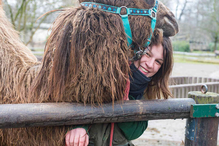 Tierpflegerin Lydia Dejong (31) mit Kamel-Jungtier Wahida, Zorans
Halbbrüderchen.