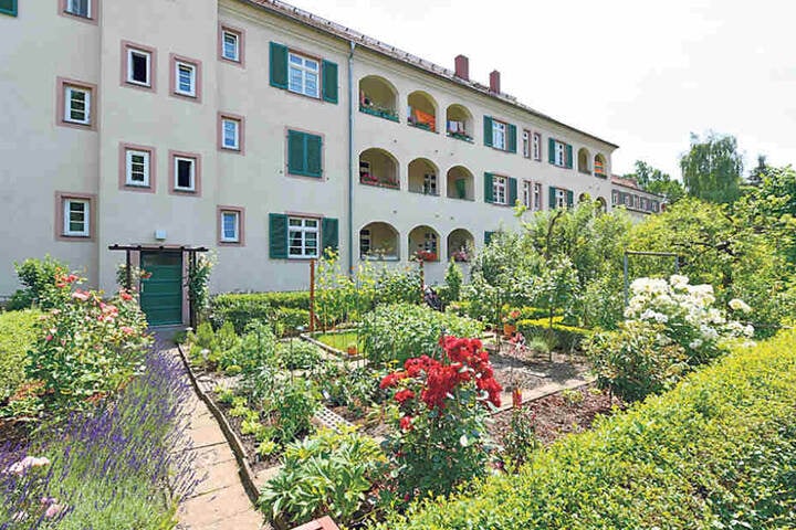 Schöner Wohnen als Genossenschaftsmitglied: Hier die Trachauer Siedlung der
Sächsischen Wohnungsgenossenschaft an der Dresdner Kronenstraße.