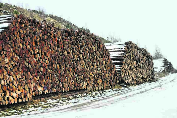 Schon jetzt türmen sich die Stämme entlang von Wald- und Feldwegen. Doch da kommt noch mehr...