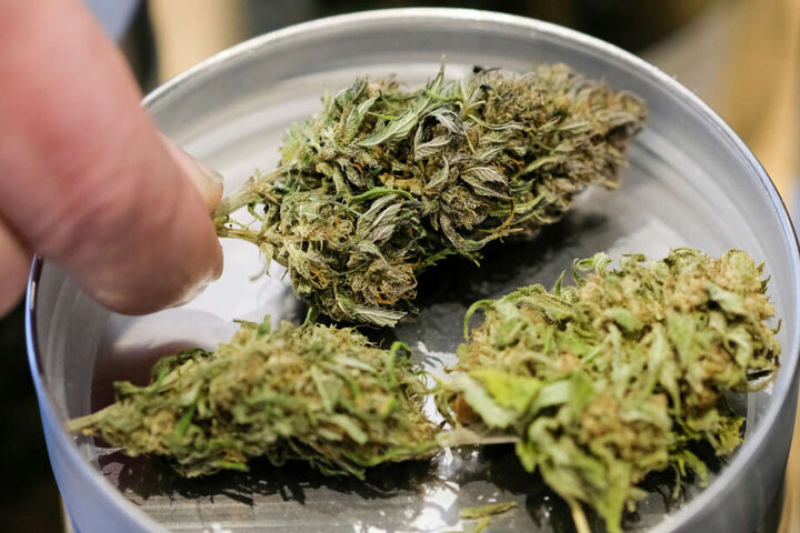 In der Unterhose eines Mannes fanden die Beamten Substanzen, die Cannabis ähnelten. (Symbolbild)