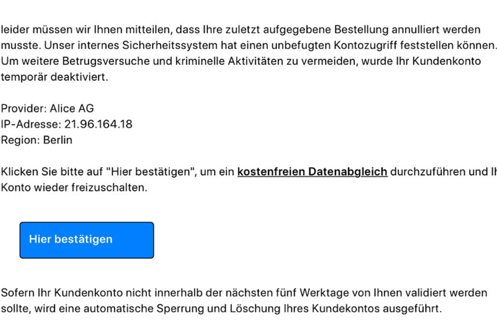 Über den "Hier Bestätigen"-Button erreicht man ein Eingabefeld, wo Mail-Adresse und PayPal-Passwort abgefragt werden.