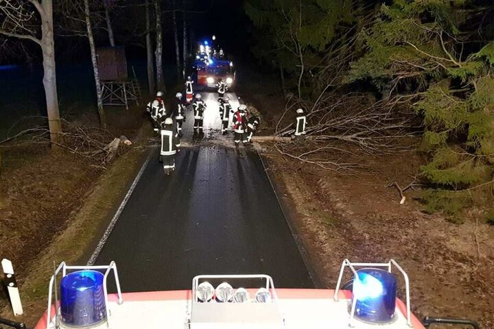 Auch im Vogtland kam es zu vereinzelten Einsätzen. Hier knickte ein Baum bei Falkenstein und um landete auf der Straße.