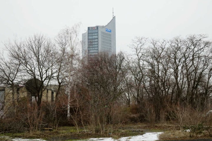 Der Wilhelm-Leuschner-Platz, heute noch Brutplatz für zahlreiche Vögel, soll demnächst bebaut werden.