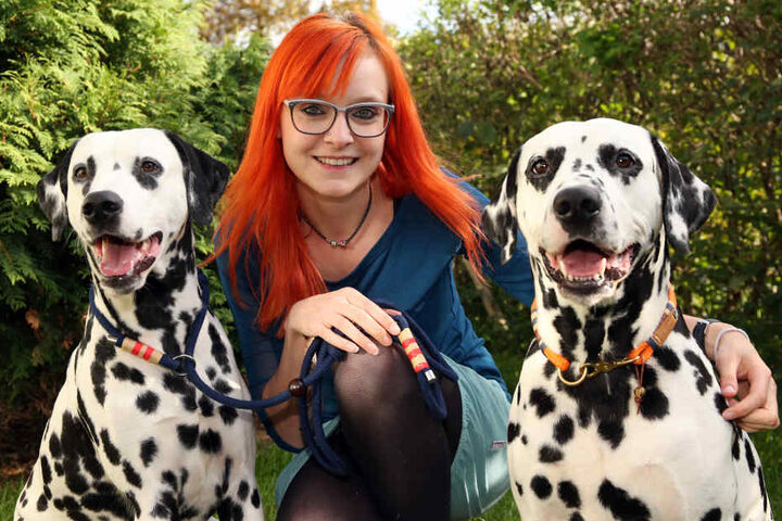 Die Dalmatiner Cenzo und Elliot setzen Trends mit dem Hundeschmuck von Michelle Kupko.