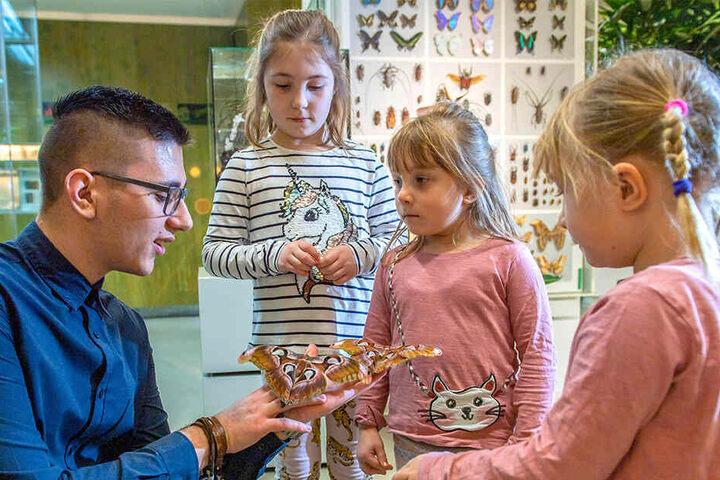 Alia (8, v.l.), Mia (5) und Finja (5) bestaunten die großen Falter, die sich auf den Händen von Tillmann Braun (18) niedergelassen hatten.