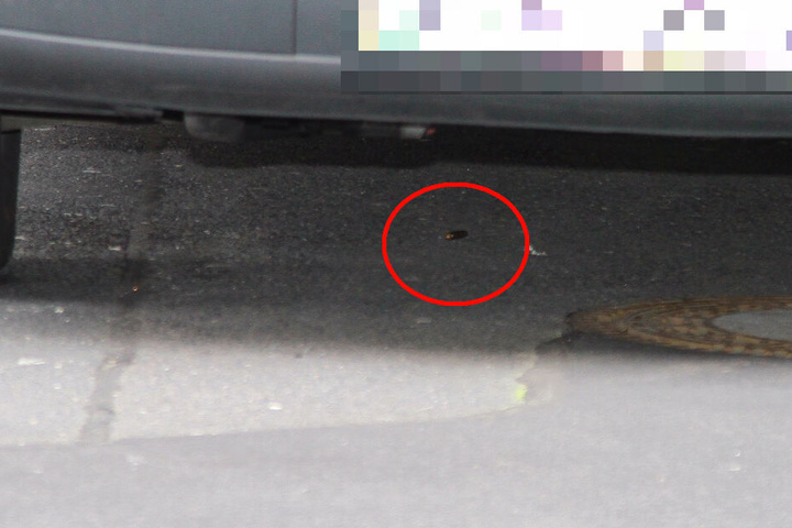 Die Hülse einer Patrone, mit der auf den verletzten Wachmann geschossen wurde.