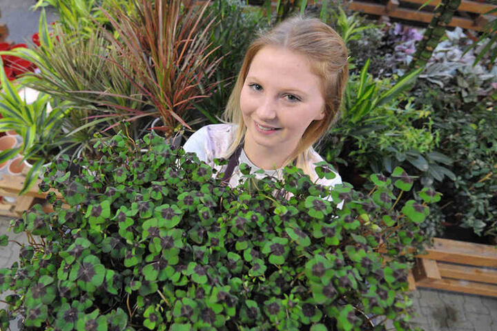 Glücksklee hilft immer! Sophie Ludwig (19) zeigt beim Gartenfachmarkt Richter ein ganzes Beet voll Glück.