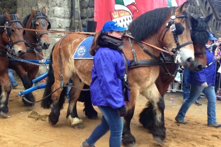 Eine Pferdekutsche ging beim Kölner Rosenmontagszug durch, mehrere Zugbesucher wurden verletzt . (Symbolbild)