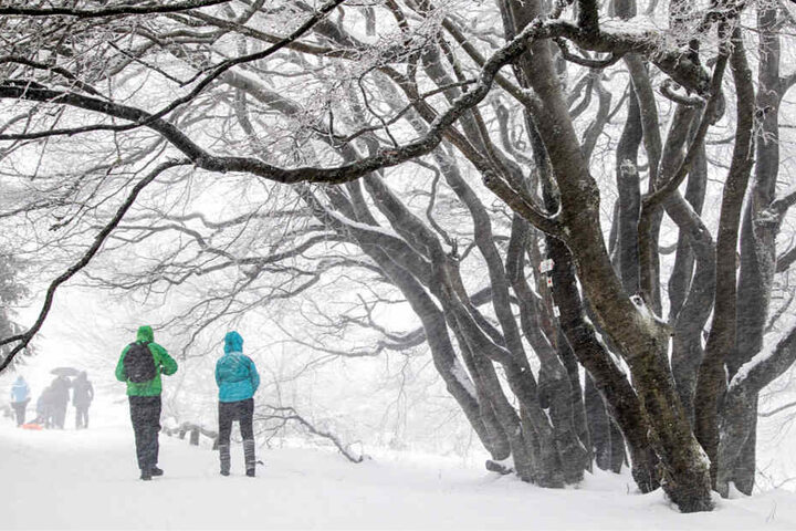 Im Taunus bei Frankfurt fiel am Sonntag sehr viel Schnee. Dennoch waren Ausflügler dort unterwegs und genossen die weiße Pracht.