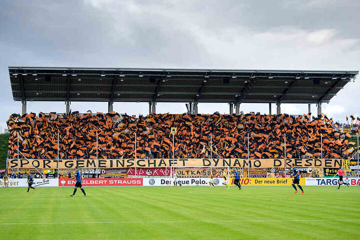 Die Dynamo-Fans machten ihr "Auswärtsspiel" am 11. August 2017 in Zwickau zu einem Fest. So könnte es wieder werden, wenn Dassendorf in der Tat in Zwickau spielen würde.