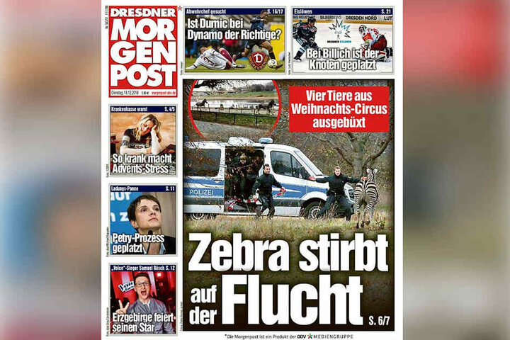 Ausreißer Caesar starb auf seinem aufregenden Ausflug - Morgenpost berichtete.