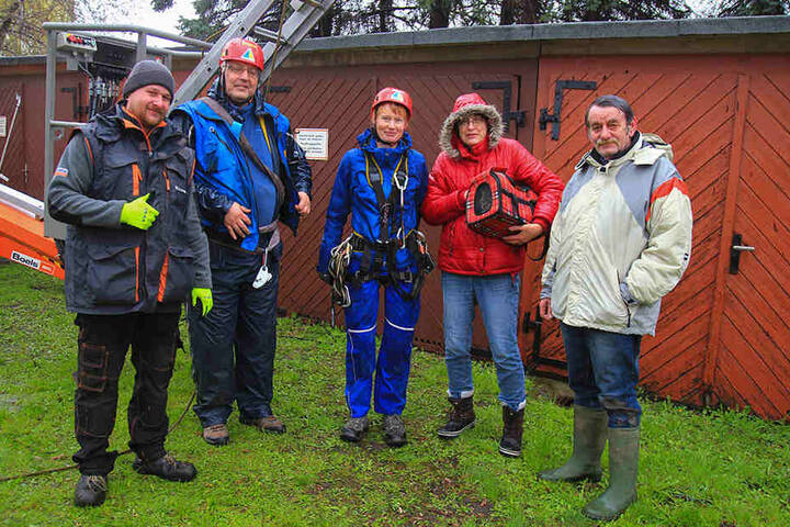 Professionelle Bergsteiger mussten her, um das Tier vom Baum zu holen.