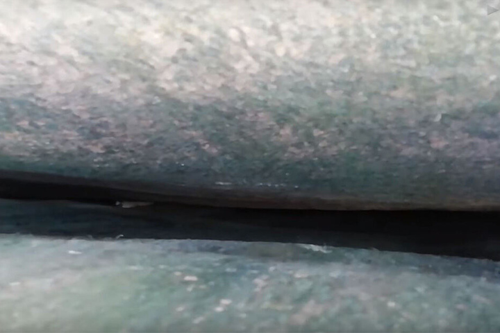 Fünf Welpen waren in diese Felsspalte gerutscht.