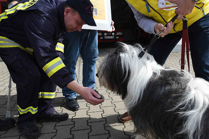 Jetzt bedankte sich Herrchen Rupert Hunzelmann bei den Kameraden der
Feuerwehr, dass sie Milo das Leben retteten.
