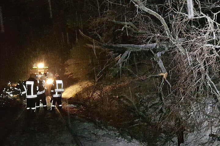 Feuerwehrleute vor Ort räumen die Strecke frei.