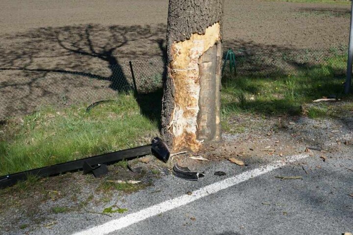 Die Kia-Fahrerin war gegen diesen Baum gefahren.