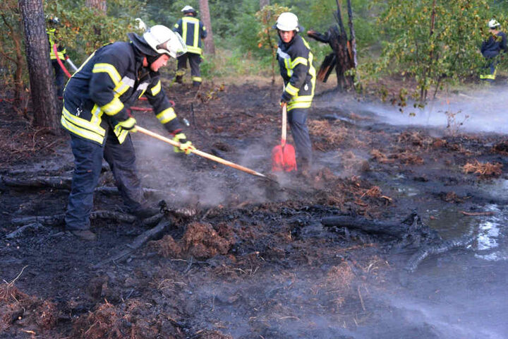 Mit Schüppen lockerten die Einsatzkräfte den Boden, damit das Wasser einsickern konnte.