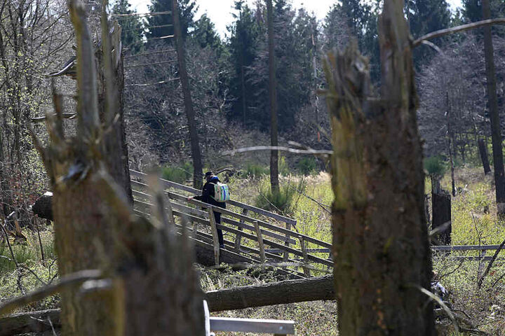 Etliche Wanderwege führen durch das Gebiet.