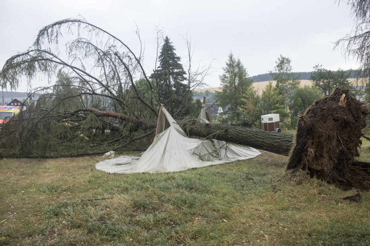 Ein Baum stürzte auf ein Zelt, in dem sich gerade zwei Personen aufhielten. Sie wurden leicht verletzt.